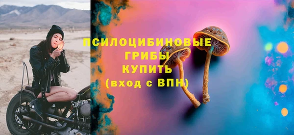 Альфа ПВП Семёнов
